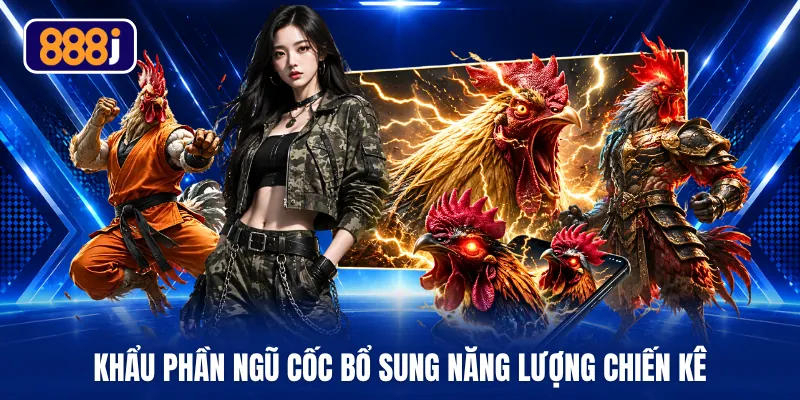 Khẩu phần ngũ cốc bổ sung năng lượng chiến kê