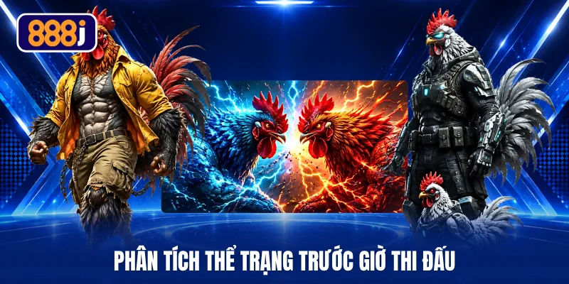 Phân tích thể trạng trước giờ thi đấu